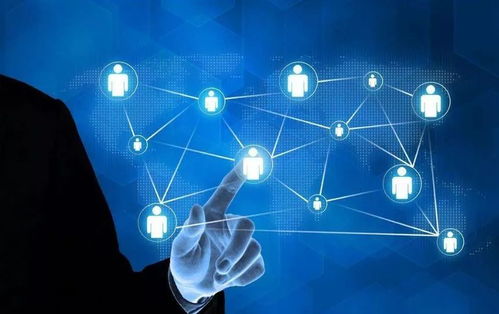 科技型中小企業(yè)評(píng)價(jià) 解鎖多重政策紅利，賦能網(wǎng)絡(luò)科技企業(yè)加速成長